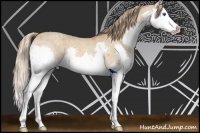 Horse Color:Red Dun Roan Splash 