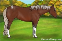 Horse Color:Silver Bay Tobiano 