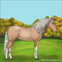 Horse Color:Silver Bay Pearl Tobiano 