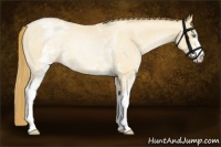 Horse Color:White Spotted Smoky Blue Roan Pearl Rabicano 