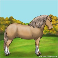 Horse Color:Palomino Varnish 