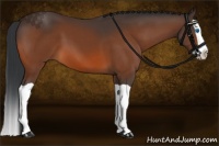 Horse Color:Brown Splash
