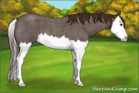 Horse Color:Liver Red Roan Splash