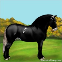 Horse Color:White Spotted Chestnut Ice Splash Tobiano Near Fewspot 