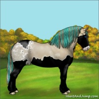 Horse Color:Painted Red Dun Ice Splash Varnish 