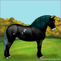 Horse Color:Painted Amber Champagne Splash Appaloosa 
