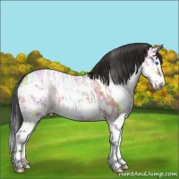 Horse Color:Bay Ice Splash 