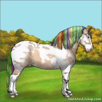 Horse Color:Painted Brown Dun Sabino Splash Tobiano Appaloosa