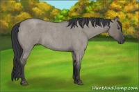 Horse Color:Grullo Roan 