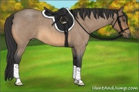 Horse Color:Buckskin Roan 