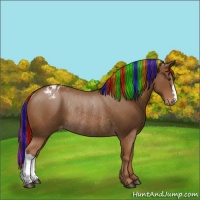 Horse Color:Painted Chestnut Varnish Rabicano