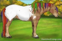 Horse Color:Painted Plaid Chestnut Sabino Appaloosa Rabicano