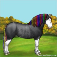 Horse Color:Painted Black Sabino Splash Varnish Rabicano