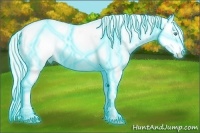 Horse Color:Thunderstruck Cremello Sabino Splash Appaloosa