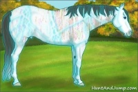 Horse Color:Thunderstruck Liver Red Dun Ice Splash Appaloosa