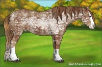 Horse Color:Plaid  Chestnut Ice Splash Appaloosa 