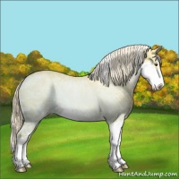 Horse Color:Palomino Ice Dun Sabino 