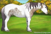 Horse Color:Painted Bay Ice Splash Tobiano Varnish