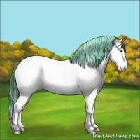Horse Color:Painted Liver Chestnut Ice Splash Tobiano 