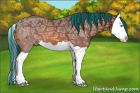 Horse Color:Painted Bay Ice Splash Varnish 
