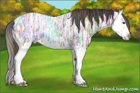 Horse Color:Nacre Black Ice Splash 