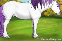 Horse Color:Painted Black Ice Sabino Splash Appaloosa 