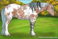 Horse Color:Painted White Spotted Bay Ice Appaloosa 