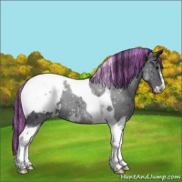 Horse Color:Painted Black Sabino Tobiano Snowcap 