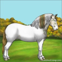Horse Color:Plaid  Smoky Grullo Ice Sabino Tobiano Near Fewspot Rabicano 