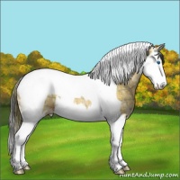 Horse Color:Plaid Bay Ice Sabino Splash Tobiano Appaloosa Rabicano