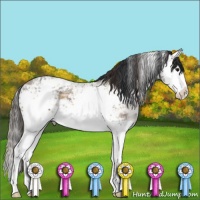 Horse Color:Plaid  White Spotted Brown Ice Sabino Splash 