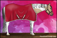 Horse Color:Bay Dun Tobiano 