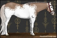 Horse Color:White Spotted Chocolate Silver Grullo