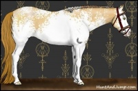 Horse Color:White Spotted Bay Pearl 