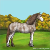 Horse Color:White Spotted Liver Red Dun 