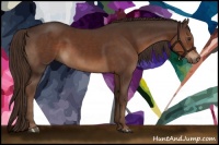 Horse Color:Liver Chestnut Sabino 