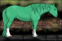 Horse Color:Watercolor Black 