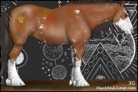 Horse Color:Bay Sabino 