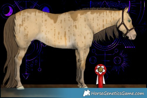 Horse Color:Sable Cream Champagne Dun Brindle 