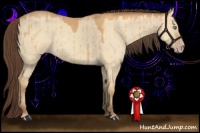 Horse Color:Sable Cream Champagne Dun Brindle