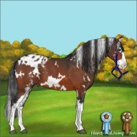 Horse Color:White Spotted Bay Splash Appaloosa