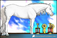 Horse Color:White Spotted Chocolate Palomino Pearl Blanket 