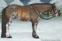 Horse Color:Smoky Black and Buckskin Sabino