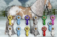 Horse Color:White Spotted Silver Classic Champagne 