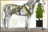 Horse Color:White Spotted Cremello Ice Dun Mushroom Splash Tobiano Rabicano