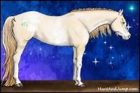 Horse Color:White Spotted Buckskin Pearl