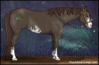 Horse Color:Liver Chestnut Sabino 