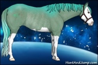 Horse Color:Watercolor Liver Chestnut Splash Rabicano 