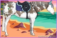 Horse Color:White Spotted Silver Black Sabino Splash 