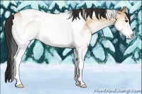 Horse Color:White Spotted Bay Dun Tobiano 